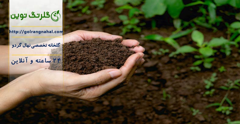 بهترین خاک برای باغ | خاک مناسب برای کاشت گردو در گلدان | درخت گردو در خاک شور