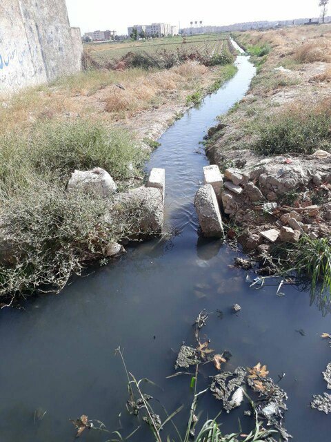 بیماری | خانواده اینجا بیماری می کارند!