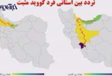 ویروس اصلی و درمان کرونا را پیدا کردم!