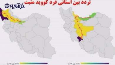 ویروس اصلی و درمان کرونا را پیدا کردم!