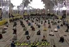 گزارشی از نوای دلنشین مناجات در حرم امام رضا(ع) تا خانه های شیعیان