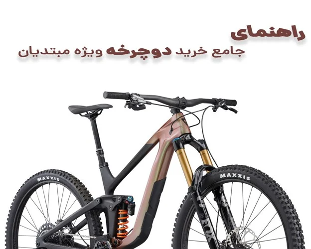 عمومی