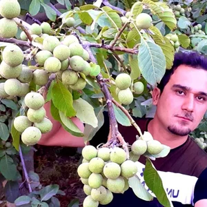 عمومی