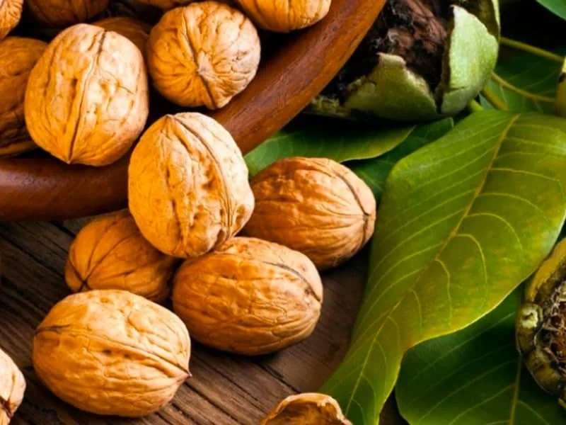 عمومی