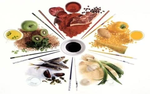 تغذیه