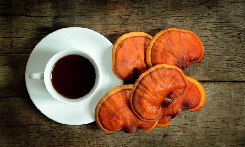 How to use ganoderma coffee for weight loss