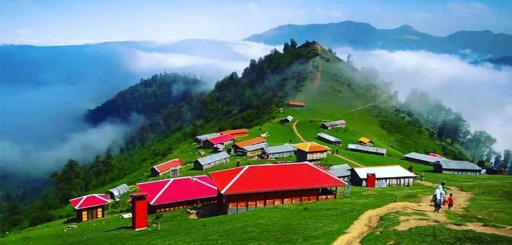 عمومی