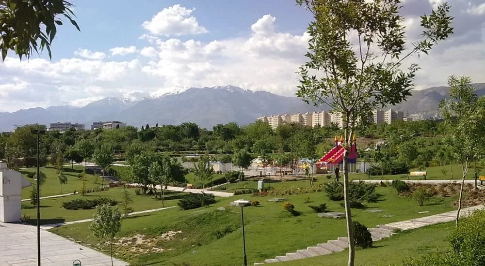 عمومی