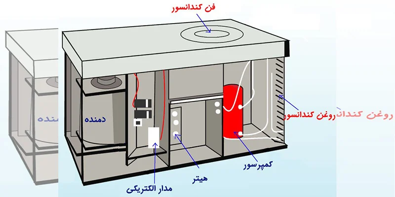 عمومی
