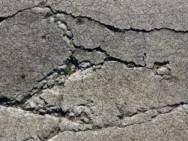 عمومی