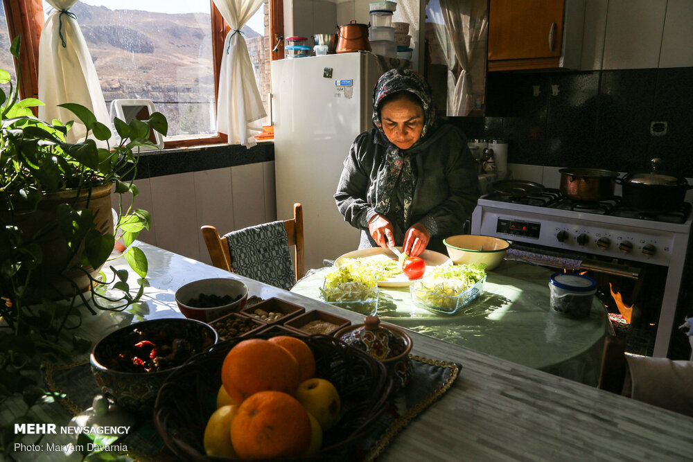 دوره آموزشی طرح «زنان کارآمد، روستای سرآمد» در یزد اجرا می‌شود - خبرگزاری مهر | اخبار ایران و جهان