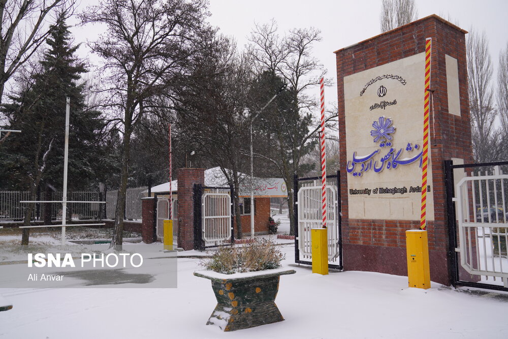 کلاس‌های دانشگاه محقق اردبیلی تا پایان هفته جاری مجازی شد