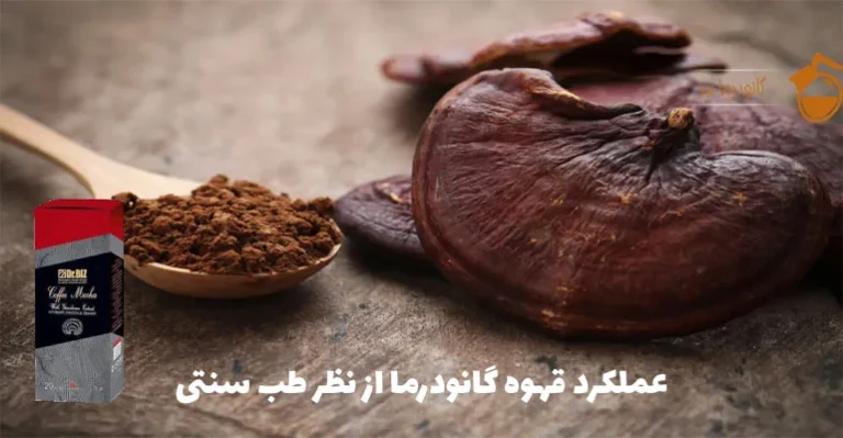 قهوه گانودرما برای تنبلی تخمدان: راهی طبیعی برای بهبود عملکرد هورمونی