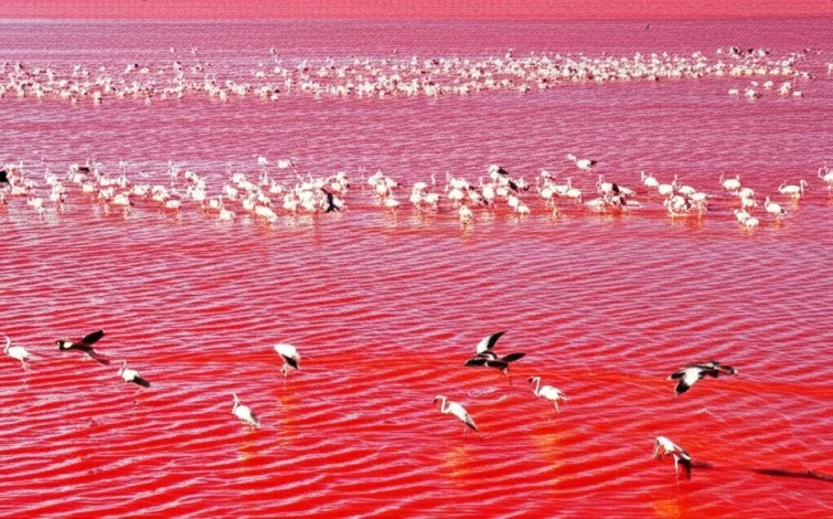 گردشگری